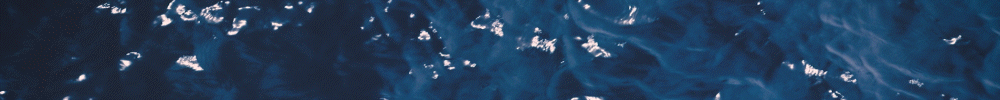 spot_img